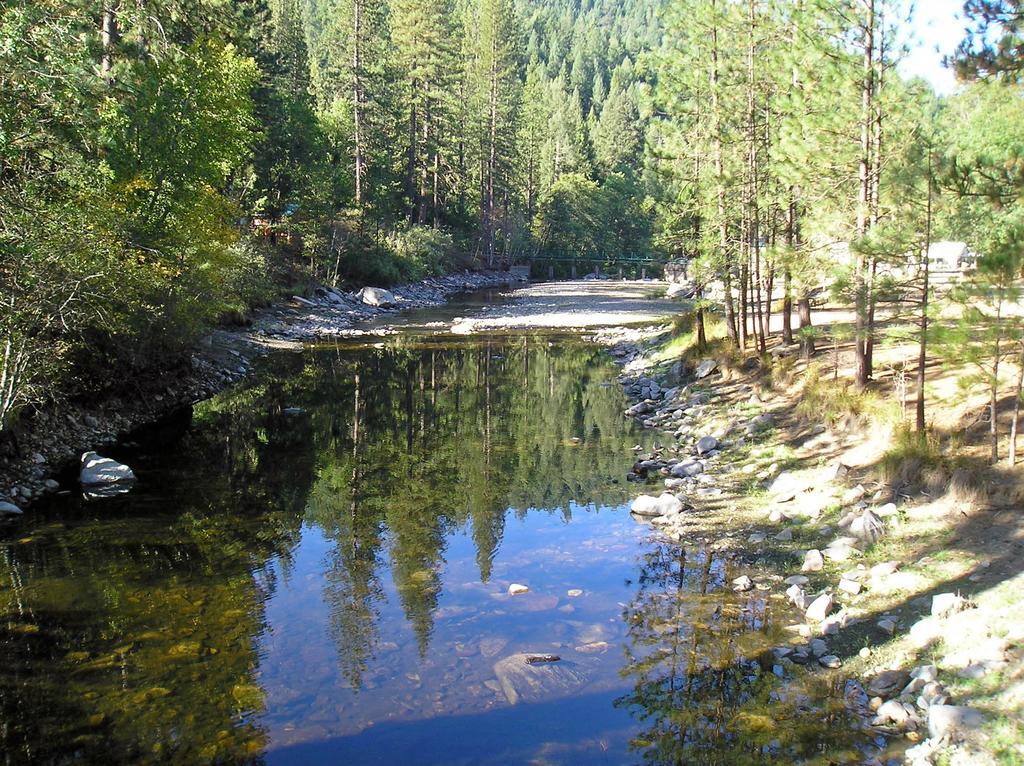 Yosemite Lakes Bunkhouse Cabin 27 Hotell Harden Flat Exteriör bild